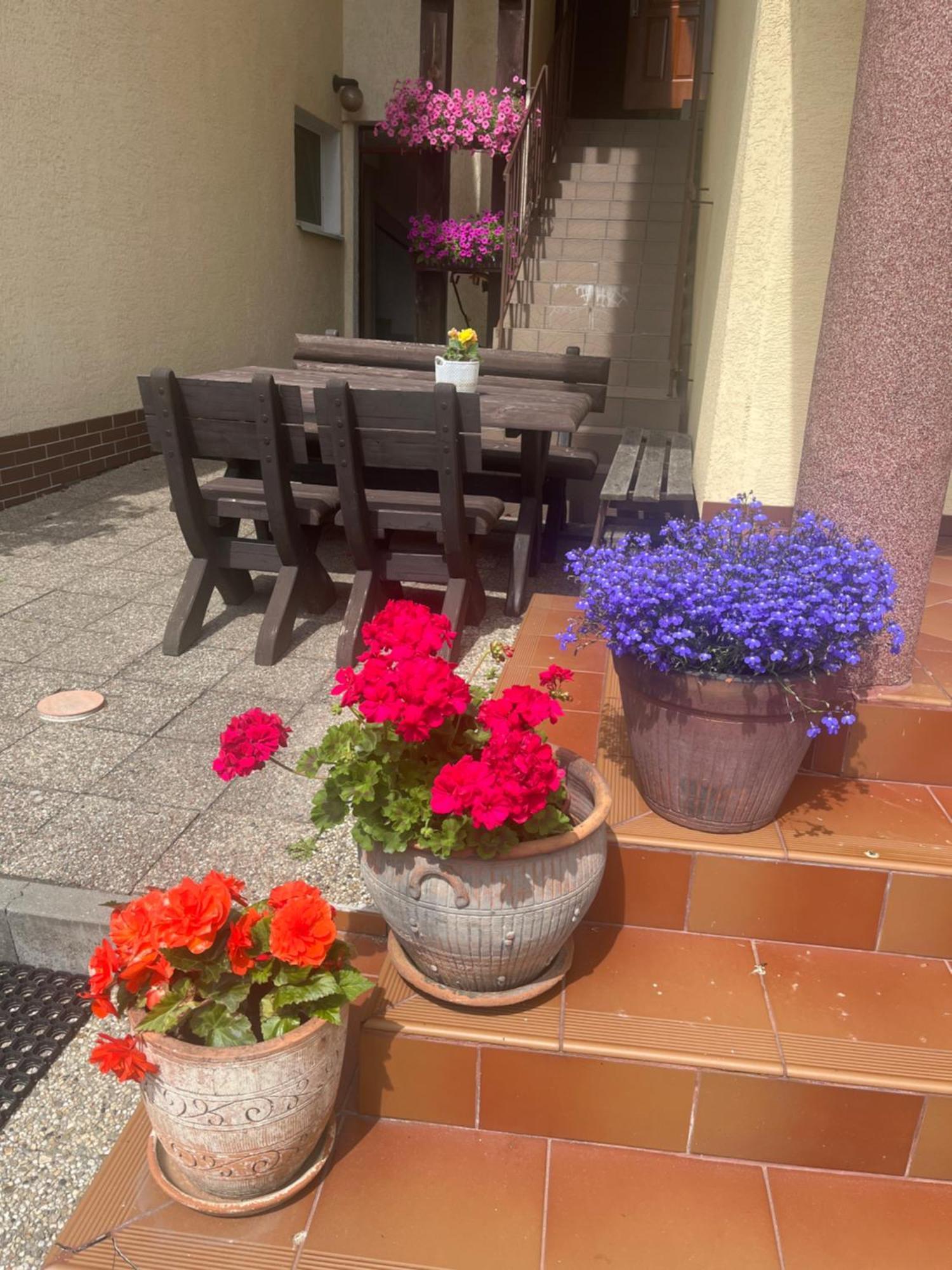 Dom Muszelka Hotel Krynica Morska Luaran gambar